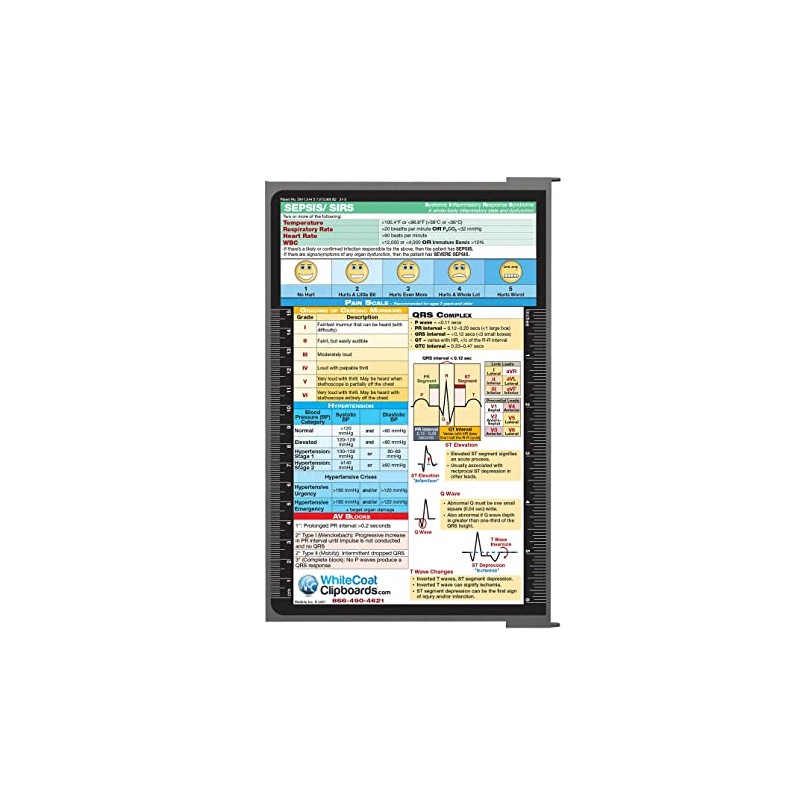 Whitecoat Clipboard® Concealed - Silver Nursing Edition