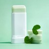 [Wellderm] Tea Tree Soothing Herb Tox Cica Sunstick SPF50+ PA++++