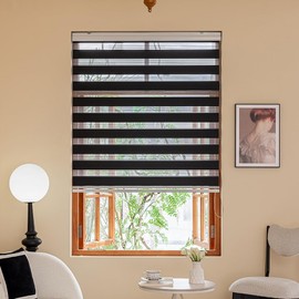 Horizontal Zebra Blinds for Windows, Roller Light Filtering Control Semi Sheer Windows Shades, Dual Layer Fabric Manual Pull Window Shutter for Home, Bedroom,Office, 27" W X 72" H, Black