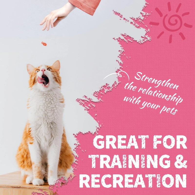 Just Try 13.4 OZ Urinary Tract Cat Treats for Indoor