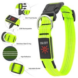 BSEEN Light Up Dog Collars - Glowing LED Dog Collar, Reflective Puppy Collar, Adjustable Lighted Dog Collar, Rechargeable Pet Collar for Night Walking (Green-II, Medium)