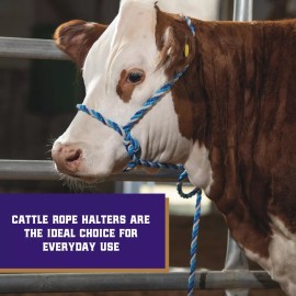 Weaver Livestock Adjustable Multicolored Rope Cattle Halter with 7 Foot Lead