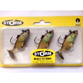 STORM        WILDEYE    LIVE           SHINER