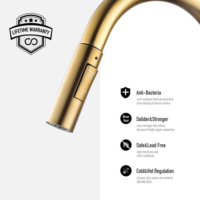 FORIOUS Gold Kitchen Faucet with Pull Down Sprayer, Kitchen Faucet