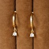 Double Piercing Chain Earrings for Women - Double Hole Earrings