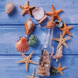 20 Napkins Shells on the Sea Treasure as Table Decoration for Maritime Occasions 33 x 33 cm