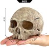 Aquarium Decoration for Fish Tank Skull Head Skeleton Aquarium Ornament