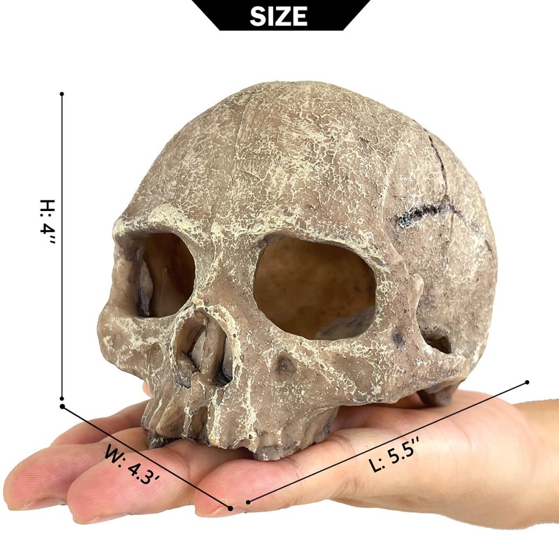 Aquarium Decoration for Fish Tank Skull Head Skeleton Aquarium Ornament
