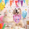 Dog Birthday Bandana Set, Dog Cat Birthday Party Supplies Boy