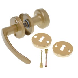 Aqbau® Door Handle with Door Knob & Rosette BB | Button Push | Door Knob | Knob (Gold)
