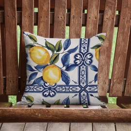 AOFANGGO Italy Lemons Throw Pillow Cover 18x18 Lemon Decor Mediterranean Italian Gifts Pillow Cases Decorative Pillow Living Room Bedroom Office Home Decor for Cushion Car Bed