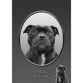 Staffie/Staffordshire Bull Terrier Birthday Card