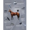 Harrison Howard Horse Grooming Kit 9-Piece Equine Care Series Horse