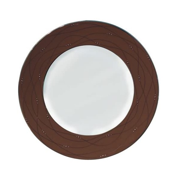 Royal Doulton Precious Platinum 9-Inch Accent Plate, Cocoa