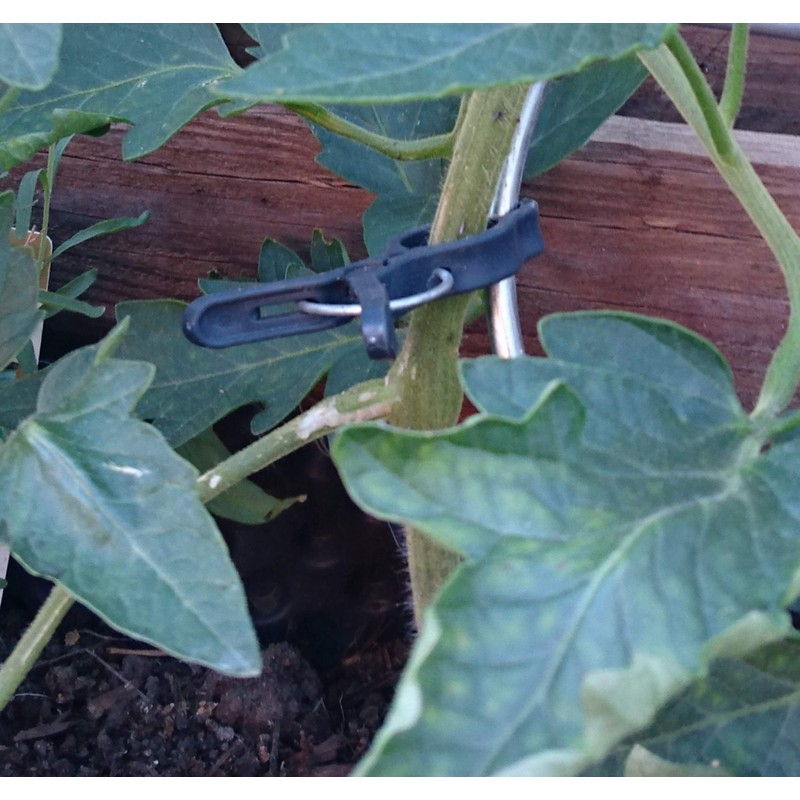 mumbi 80x Plant Clips Plant Clips Plant Holder Plant Ties