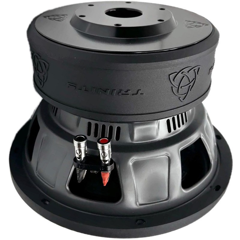Trinity Audio TAS-E10D2 10" 2400W Dual 2-Ohm Subwoofer