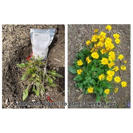 Potassium Polyacrylate Increase Moisture and Water-Soluble Nutrients to Plant Roots (5 pounds)