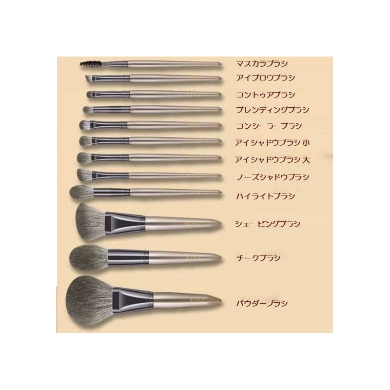 BANFI Makeup Brush Set with Square Stand Case, 12 Pieces,