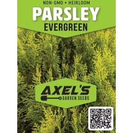 Axel's Garden Seeds Evergreen Parsley Seeds | Heirloom | Non-GMO | Fresh Garden Seeds - 100 Seeds