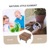 CAXUSD Wooden Planter Stand Rustic Flower Pot Holder for Home