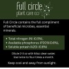 Full Circle Premium Plant Tonic – 16oz Organic Liquid Fertilizer