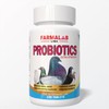 Farmalab Probiotics Extra Strength for Pigeons, 100 Tablets, Immune Support