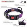 Dog Collar and Leash Set, Bungee Heavy Duty Adjustable Dogs