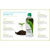 Youngevity Dr. Wallach Plant Derived Minerals - 3 Pack -