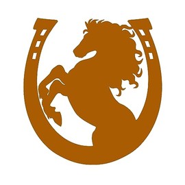 Arabian Horse Design #3 Vinyl Decal Sticker Car Window Bumper Cup Horseshoe Western Cowboy (Height: 11", Gold)