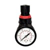 YSIL Air Compressor Pressure Regulator With Bracket and Gauge Female