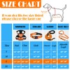 LOBEVE No Pull Dog Harness, Collar & Leash Set |