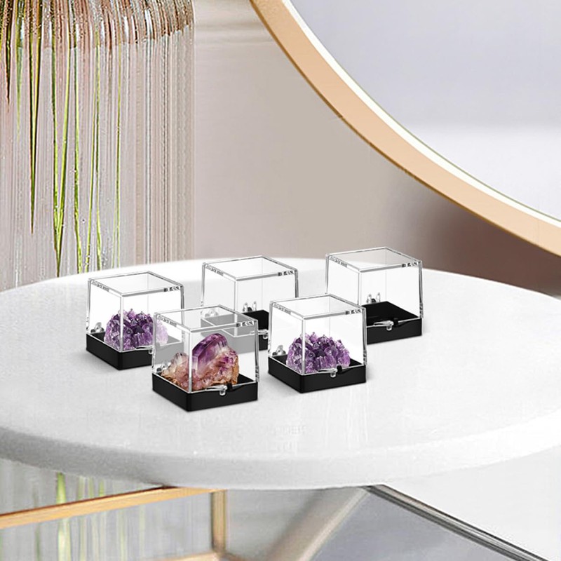 BUGUUYO Plastic Mini Gemstone Display Box Mini Specimen Case for