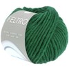 Lana Grossa Feltro 120 Opal Green