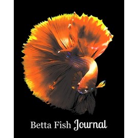 Betta Fish Journal: Gold Betta Swimming on Black Background