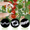 80Pcs Tomato Hooks with String, Tomato Support Hooks, Tomato Holder