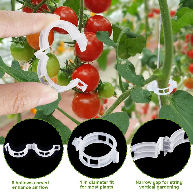 80Pcs Tomato Hooks with String, Tomato Support Hooks, Tomato Holder
