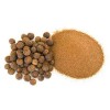 Sunshine Seeds Carolina Allspice Seeds (20) / ORGANIC / FLORIDA GROWN / SEASONING