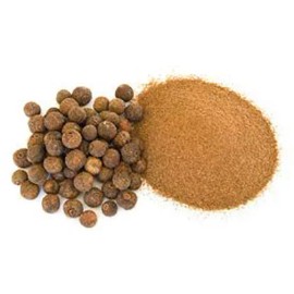 Sunshine Seeds Carolina Allspice Seeds (20) / ORGANIC / FLORIDA GROWN / SEASONING