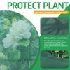 GUKULIVEL Plant Covers Freeze Protection, 10x33ft Green Frost Blanket for