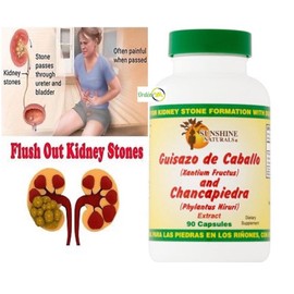 Guisazo de Caballo & Chanca Piedra 1000 mg Potente 90 capsules Cure Riñones Pill