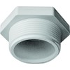 Lasco Plug 1-1-2in. MPT 450015BC 450-015