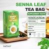 LeafLea 120 Senna Tea Bags – Pure Senna Herbal Laxative