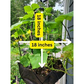 Scroll Trellis Small cage for Cucumber and Pepper Plants Support to Grow Food in Hanging Baskets (2 Units)