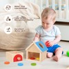 Siairo Montessori Toy for Toddlers, Coin and Ball, 2-in-1 Drop