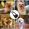 COZERI Small Dog Muzzle Ideal for Chihuahua, Young Medium and
