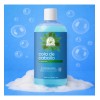 Shampoo Capilar De Cola De Caballo 500ml