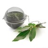 Norpro 5505 Stainless Steel Mesh Tea Infuser Ball, 3-Inch