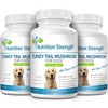 Turkey Tail Mushroom for Dogs to Support a Strong Immune