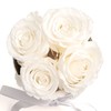 Rosmarie Schulz Heidelberg Rose Box, White Round Infinity Rose, Flower