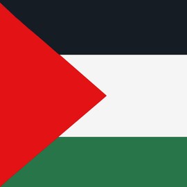 2 Pack Car Flags,Car Flag Palestine Flag Outdoor with Palestinians Flag and Car Flag Pole, Car Logo Window Clip Can be Clipped to Most Windows 14 inch Flag Pole and 16 x 10 inch Double Sided Flag.